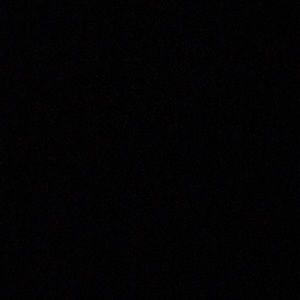 Meet your Posher, Moise